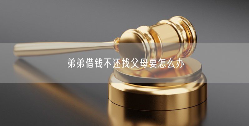 弟弟借钱不还找父母要怎么办