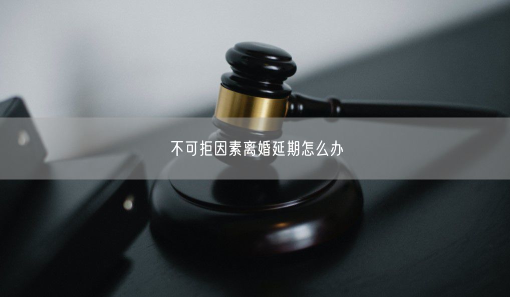 不可拒因素离婚延期怎么办