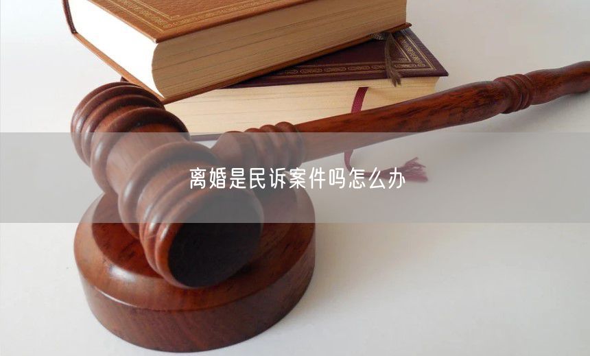 离婚是民诉案件吗怎么办