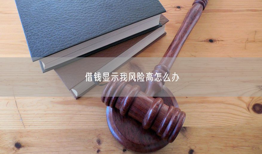 借钱显示我风险高怎么办