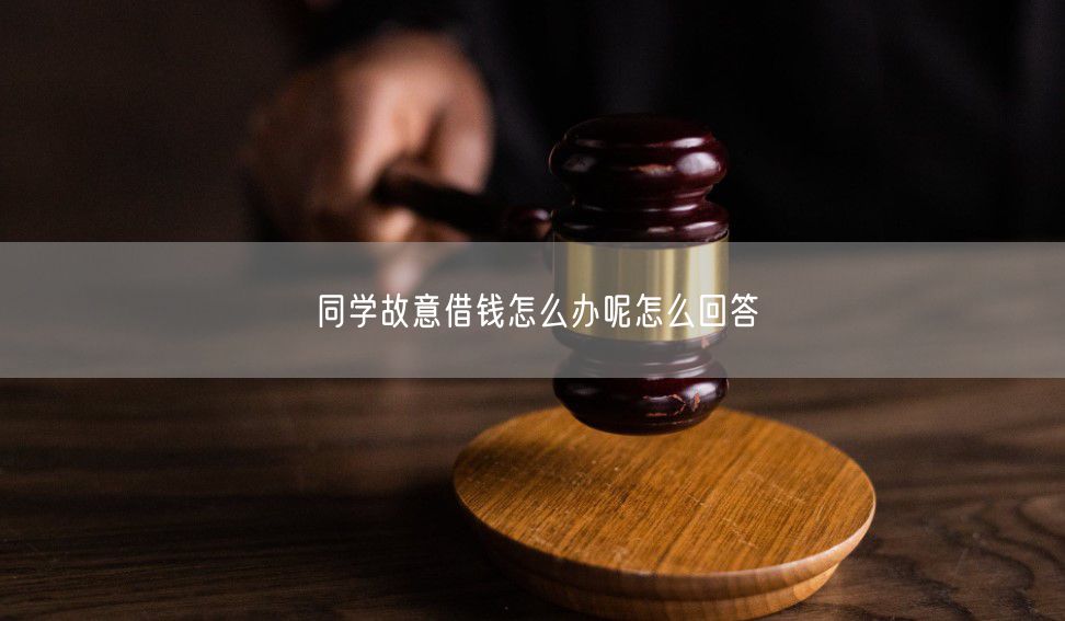 同学故意借钱怎么办呢怎么回答